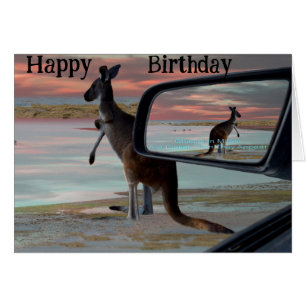 Kangaroo Seaside Breezes Illusion Art, Cards