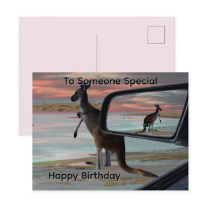 Kangaroo Seaside Breezes Illusion,  Bday Postcard
