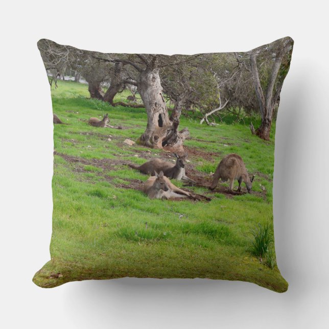 Kangaroo Siesta, Large Throw Cushion. Pillow (Front)
