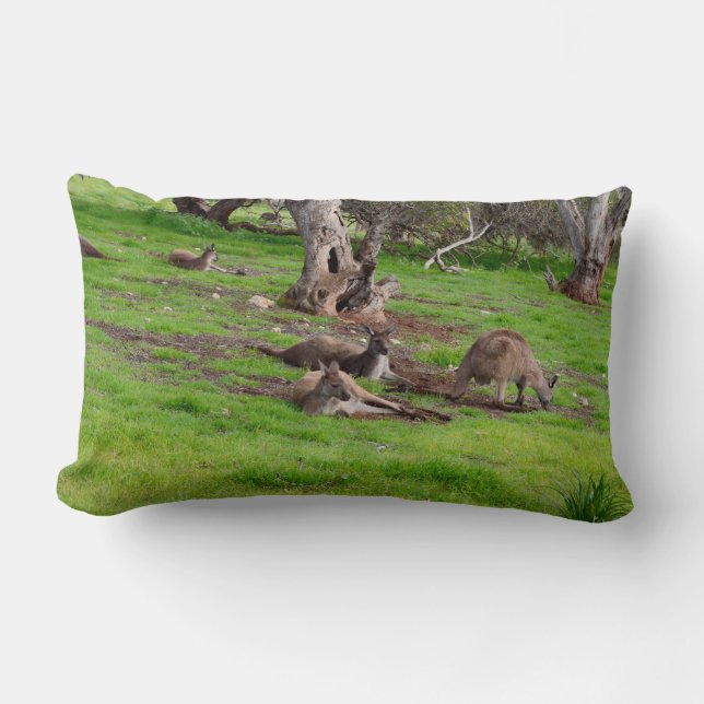 Kangaroo Siesta, Lumbar Cushion. Lumbar Pillow (Front)