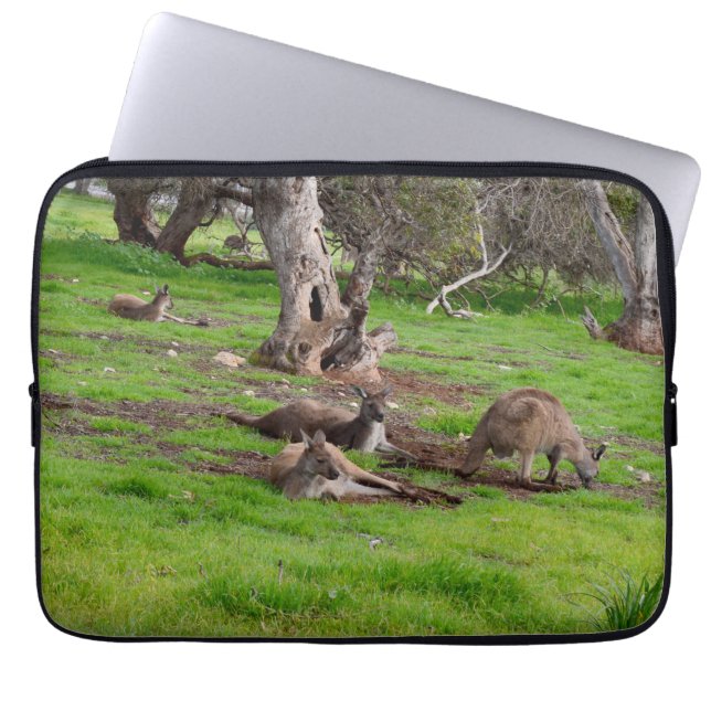 Kangaroo Siesta Time, Laptop Sleeve (Front)