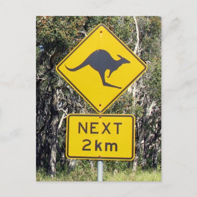 Kangaroo Sign Postcard (Front)
