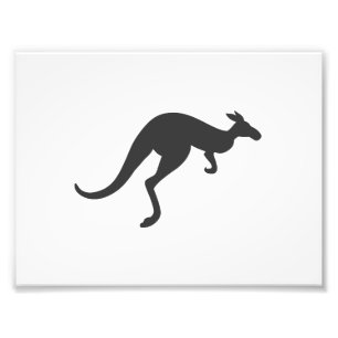 kangaroo silhouette - Choose background color Photo Print