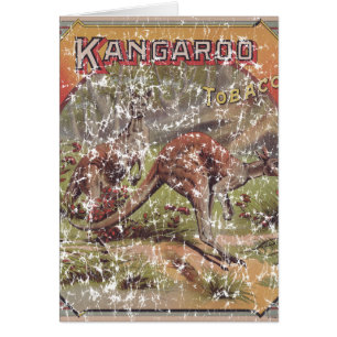 Kangaroo Tobacco 1900 Cards