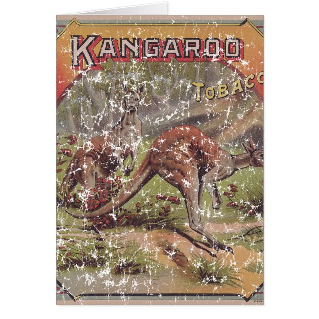 Kangaroo Tobacco 1900 Cards (Front)