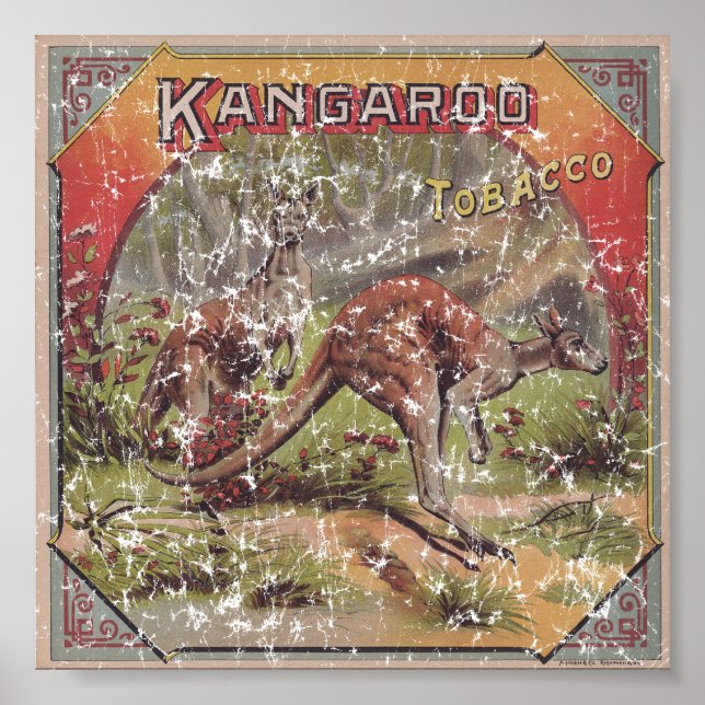 Kangaroo Tobacco 1900 distressed Poster (Front)