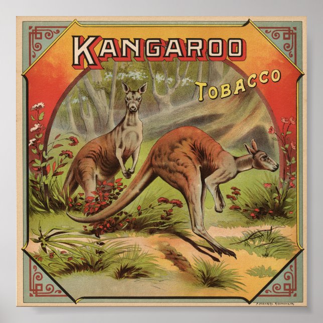 Kangaroo Tobacco 1900 Poster (Front)