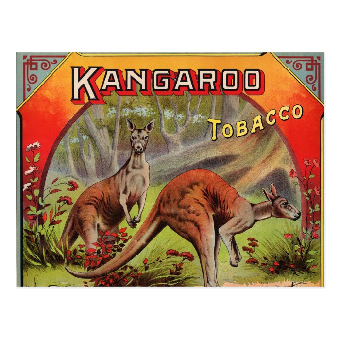 Kangaroo Tobacco Label Art Retro Vintage Kitsch Postcard