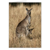Kangaroo with Baby Joey in Pouch (Front)