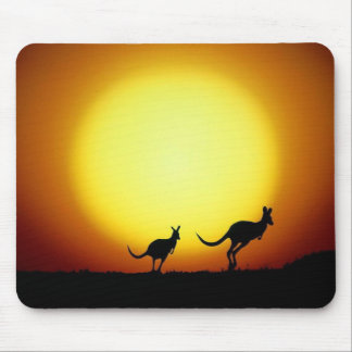 Kangaroos in the Australian Outback Mouse Pad
