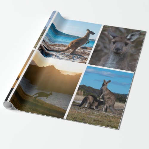 Kangaroos of Australia Wrapping Paper