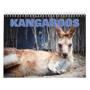 Kangaroos Wall Calendar