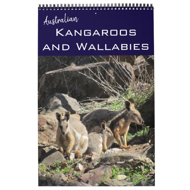 kangaroos wallabies 2026 calendar (Cover)