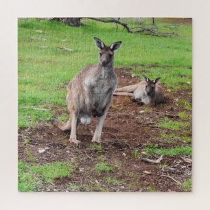 Kangaroos What A Cute Couple, Jigsaw Puzzle