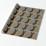 Kangaroos Wrapping Paper