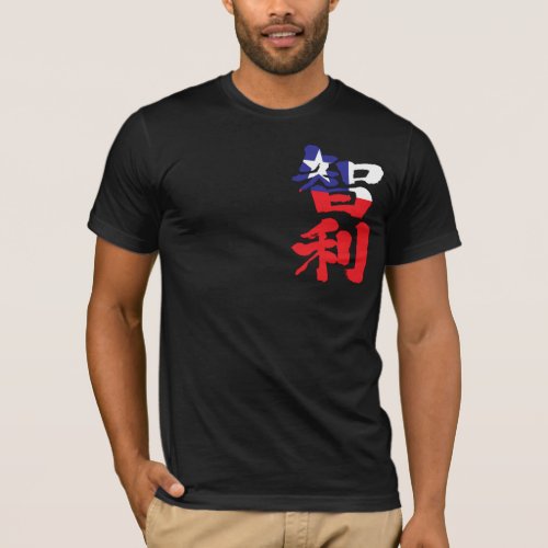 chile country world south america kanji chinese characters 国 漢字 チリ テキストデザイン