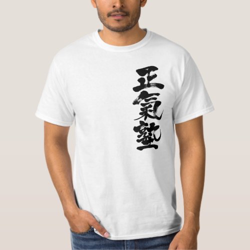 sane karate class club team chinese charactors japanese callygraphy 書 漢字 マジ 正気 塾