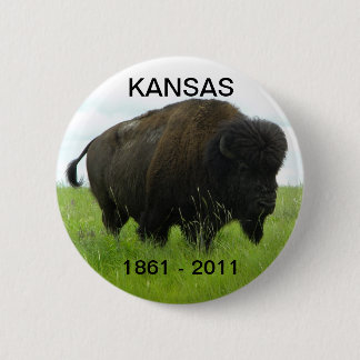 Kansas 1861 - 2011 pinback button