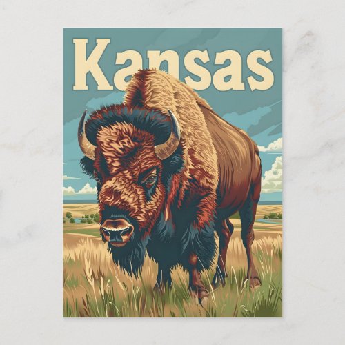 Kansas American Bison Postcard