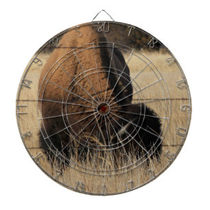 Kansas Buffalo in a Pasture  DART BOARD
