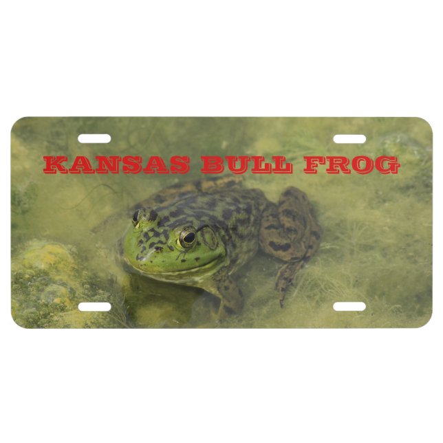 Kansas Bull Frog License Plate (Front)