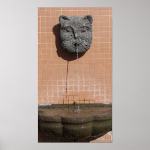 Kansas City Cat Fountain Poster