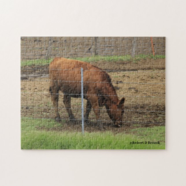 Kansas Country Cow Puzzle (Horizontal)