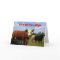 KANSAS COUNTRY COW'S Birthday Card