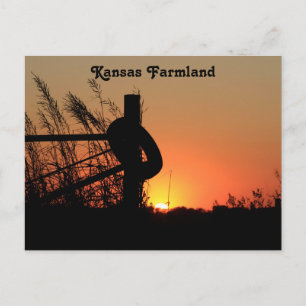 Kansas Country Farmland Sunset Postcard