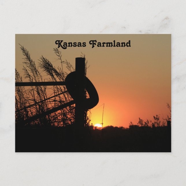 Kansas Country Farmland Sunset Postcard (Front)