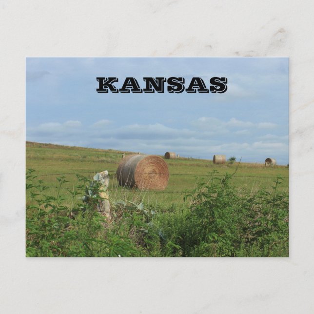 Kansas Country Hay Bale in a field Post Card (Front)