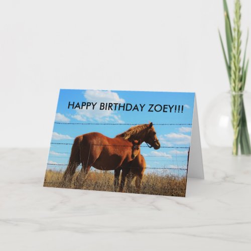 Kansas Country Horses Birthyday Card