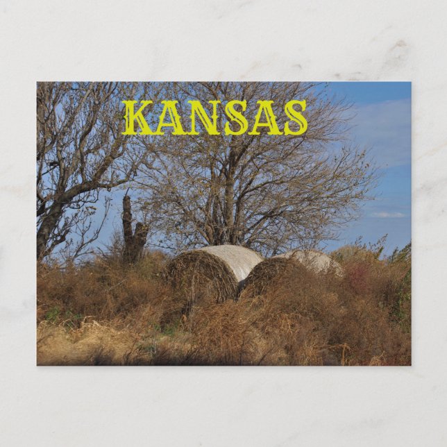 Kansas Country Landscape Post Card. Postcard (Front)