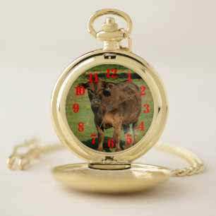 Kansas Cow Pocket Watch