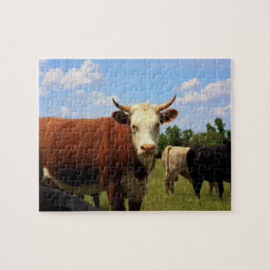 KANSAS COW'S Puzzle