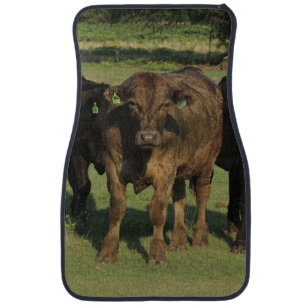 Kansas COWS Set of Car Mat