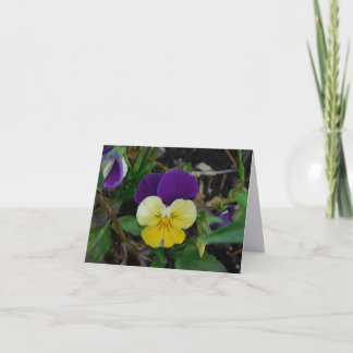 Kansas Dawn Folded Note Card