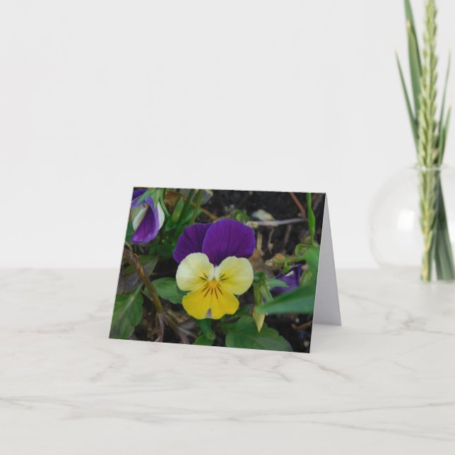Kansas Dawn Folded Note Card (Front)