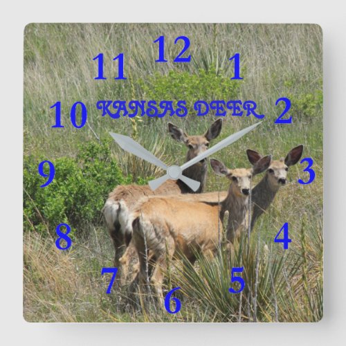 Kansas Deer Square Wall Clock