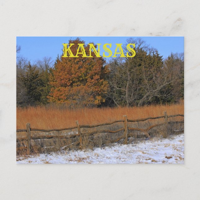 Kansas Fall/Winter Landscape Post Card. Postcard (Front)