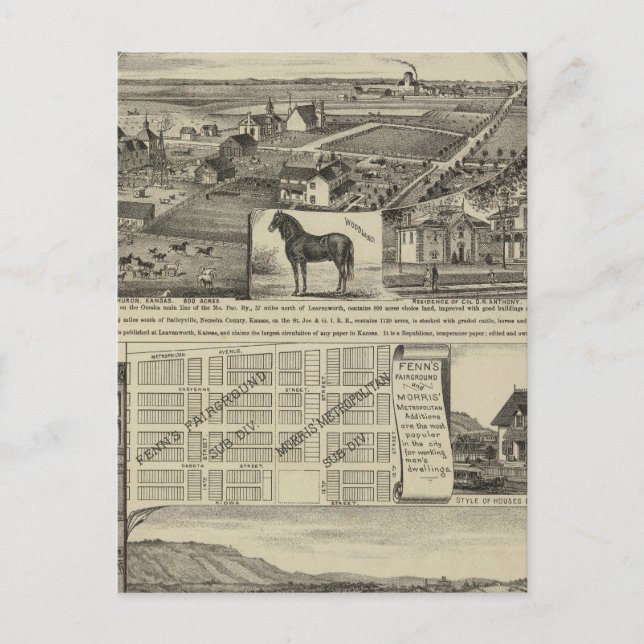 Kansas Farms Postcard (Front)