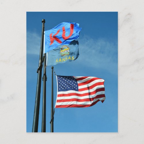 Kansas Flags Postcard