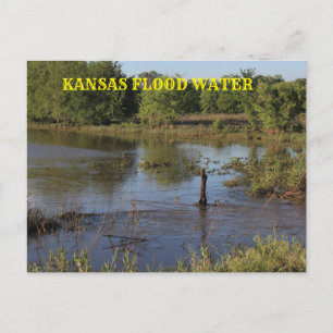Kansas Flood water in a farm field.Post Card. Postcard
