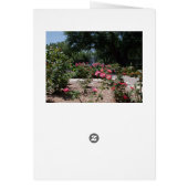 Kansas Flowers Cards (Back)