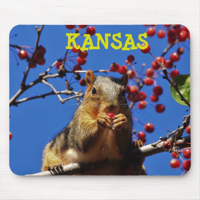 Kansas Fox Tail Squirrel Mouse PAD (Front)