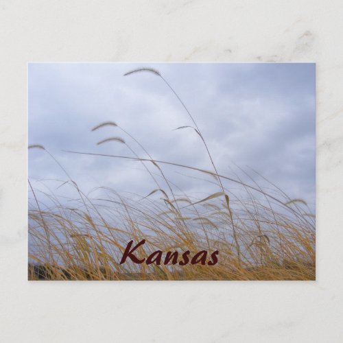 Kansas Grass and Cloudy Sky Postcard