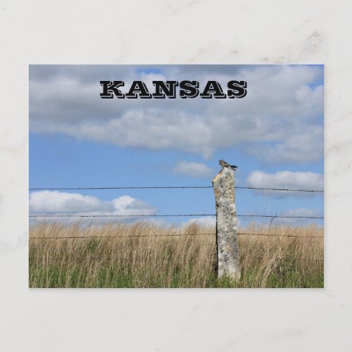 Kansas Hawk on a Lime Stone fence Post Post Card