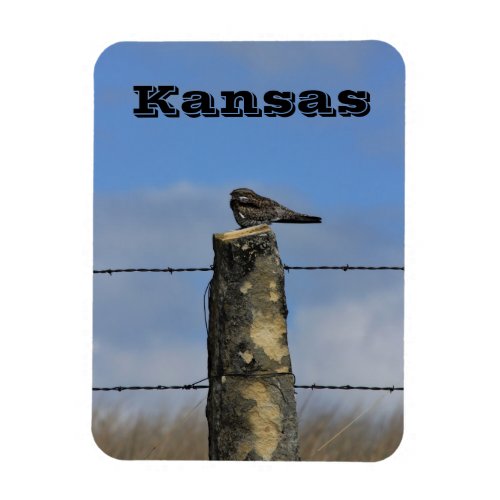 Kansas Hawk on a Limestone Fence Post Magnet
