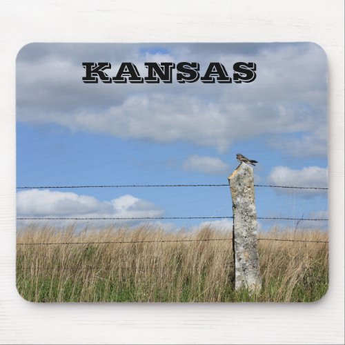 Kansas Hawk on a Limestone Post Mouse PAD
