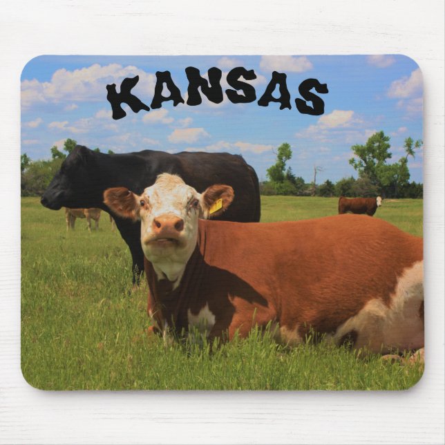 Kansas Hereford and Angus Cows Mouse Pad (Front)